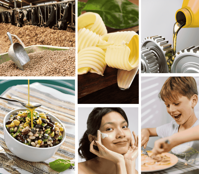 SITE-GROUPE-CANVA (1000 x 900 px) (1) Prestations